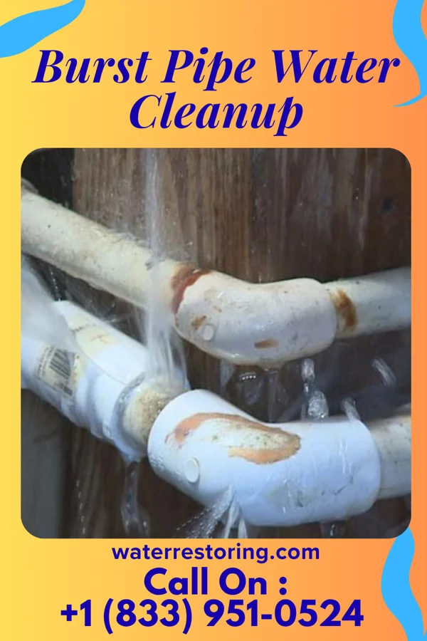 Burst Pipe Water Cleanup in Auburn, IN