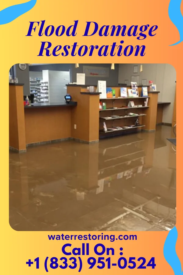 Flood Damage Restoration in Auburn, IN