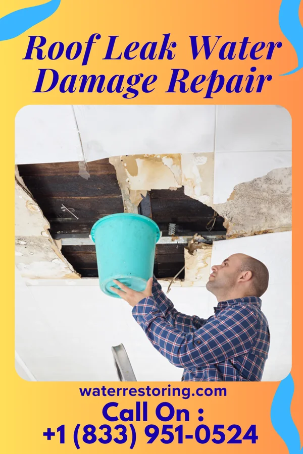 Roof Leak Water Damage Repair in Auburn, IN